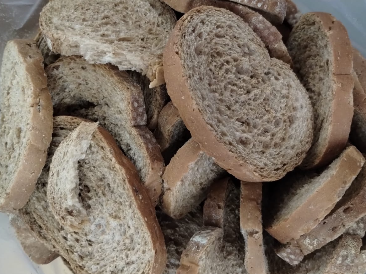 TOSTADAS INTEGRALES CON SAL