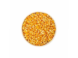 MAIZ PISADO COLORADO O AMARILLO x KG