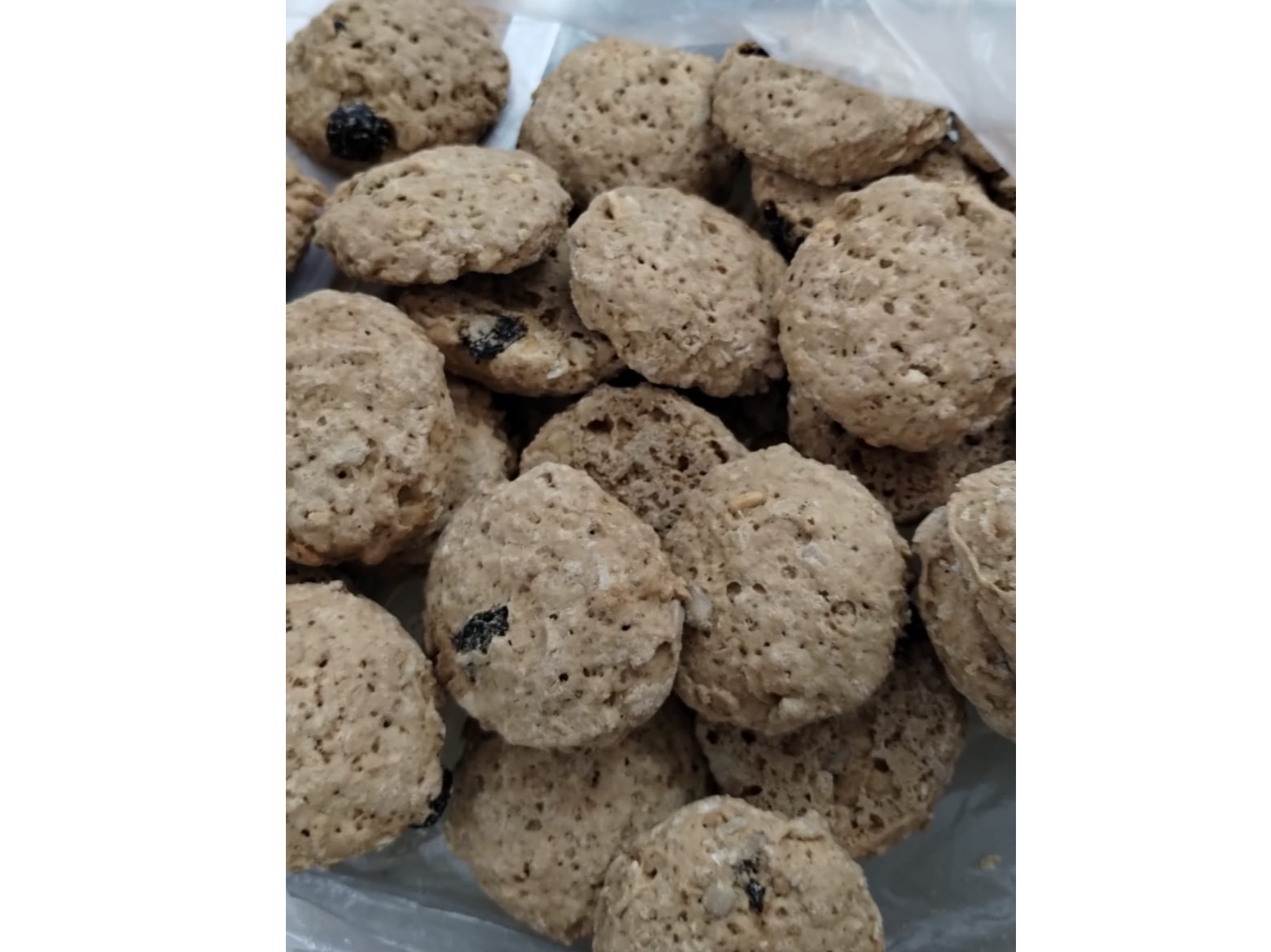 GALLETAS DE AVENA Y GRANOLA x 100 GRS