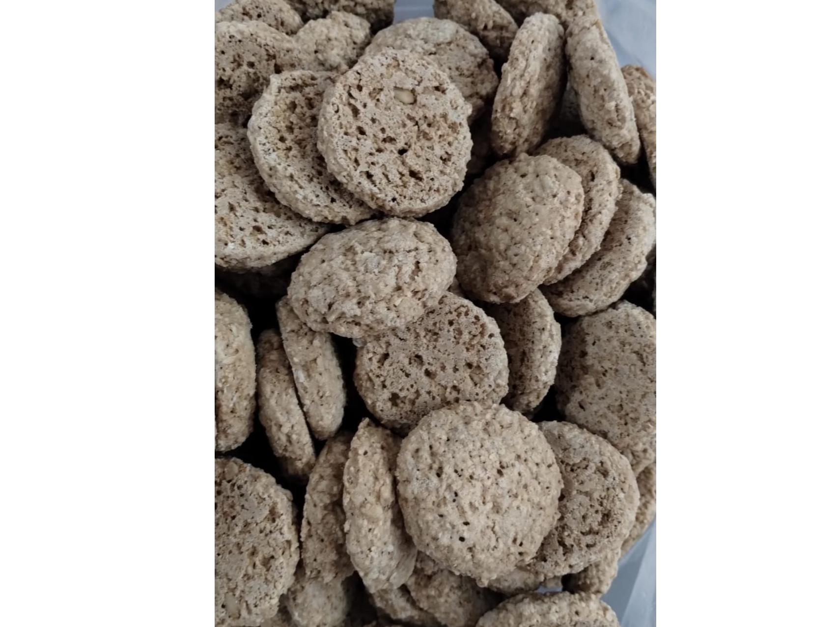 GALLETAS DE AVENA Y COCO x 100 GRS