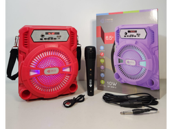 PARLANTE PORTATIL 6.5"