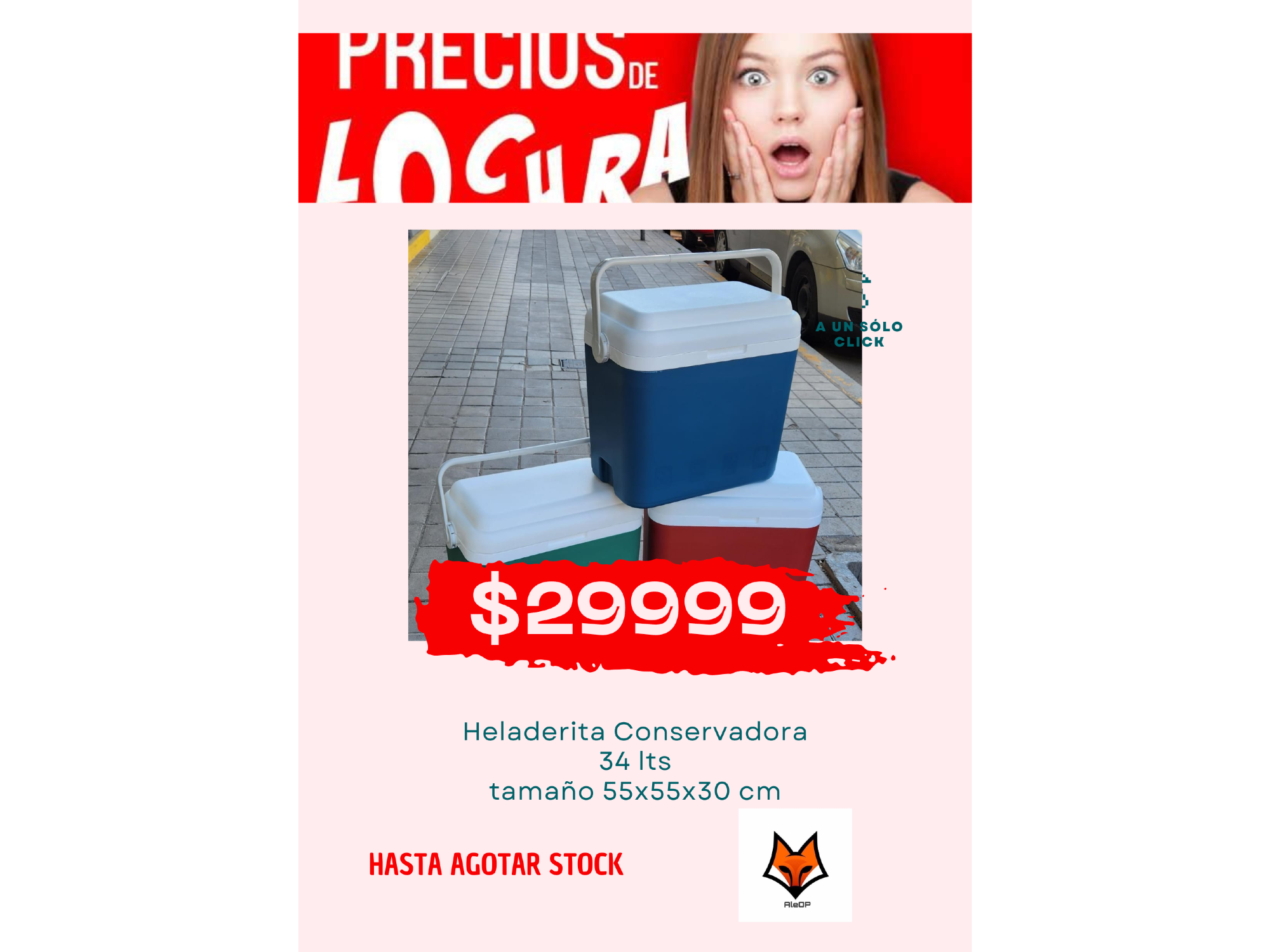 Conservdora  34 lts.