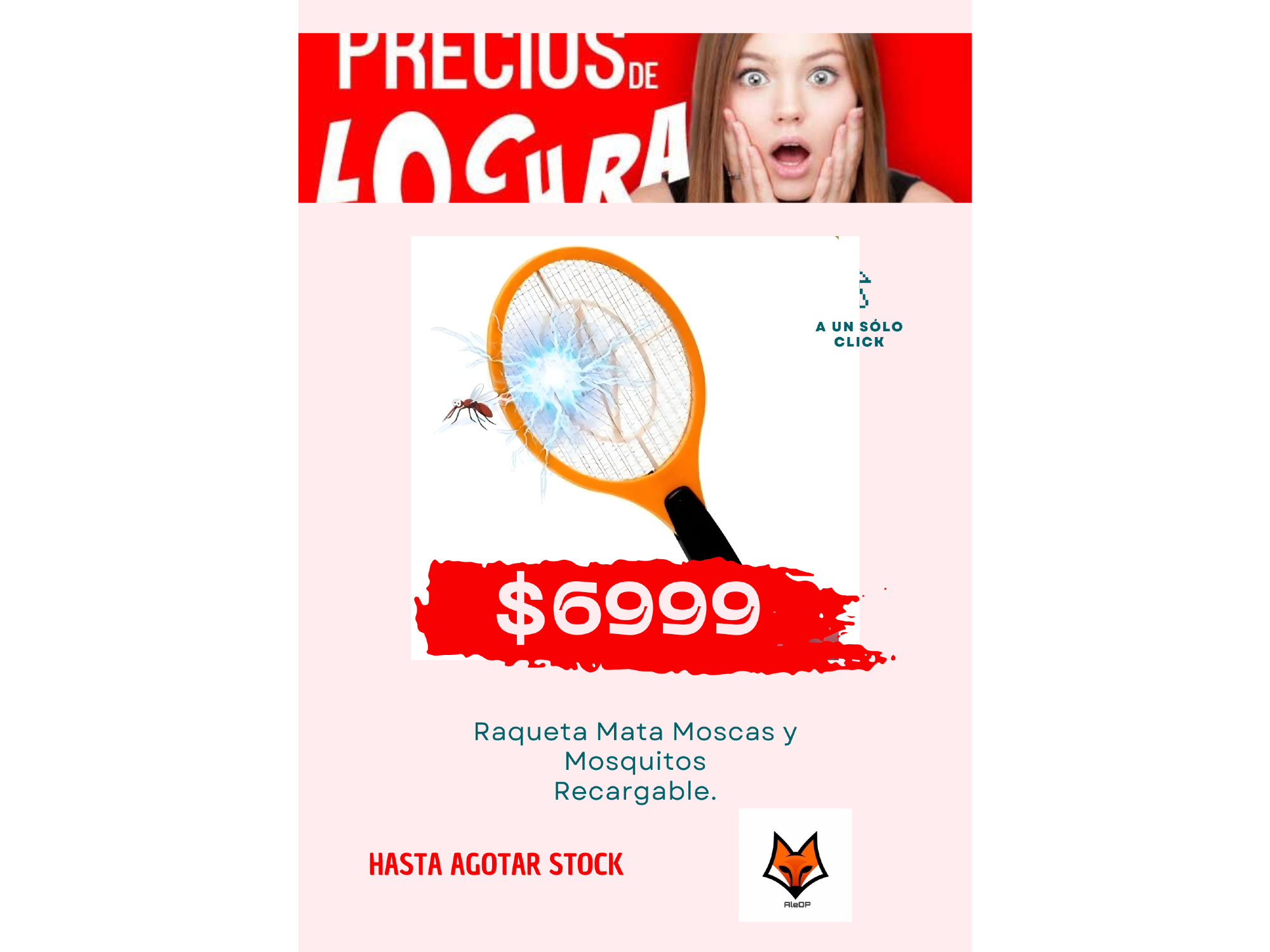 RAQUETA MATA MOSCAS Y MOSQUITOS RECARGABLE