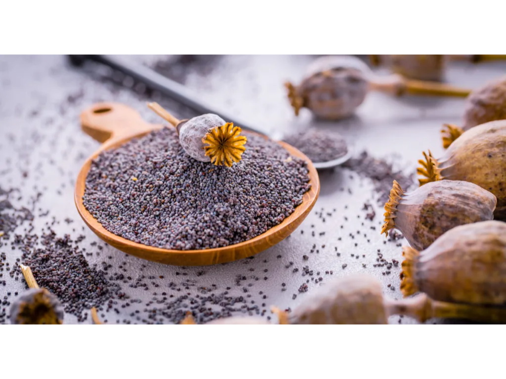 Semillas de Amapola x 100 grs