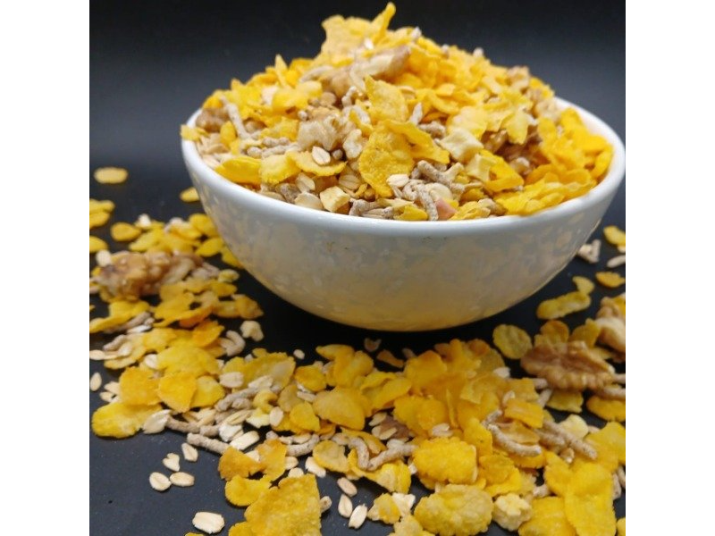 Granola sin azúcar x 100 grs