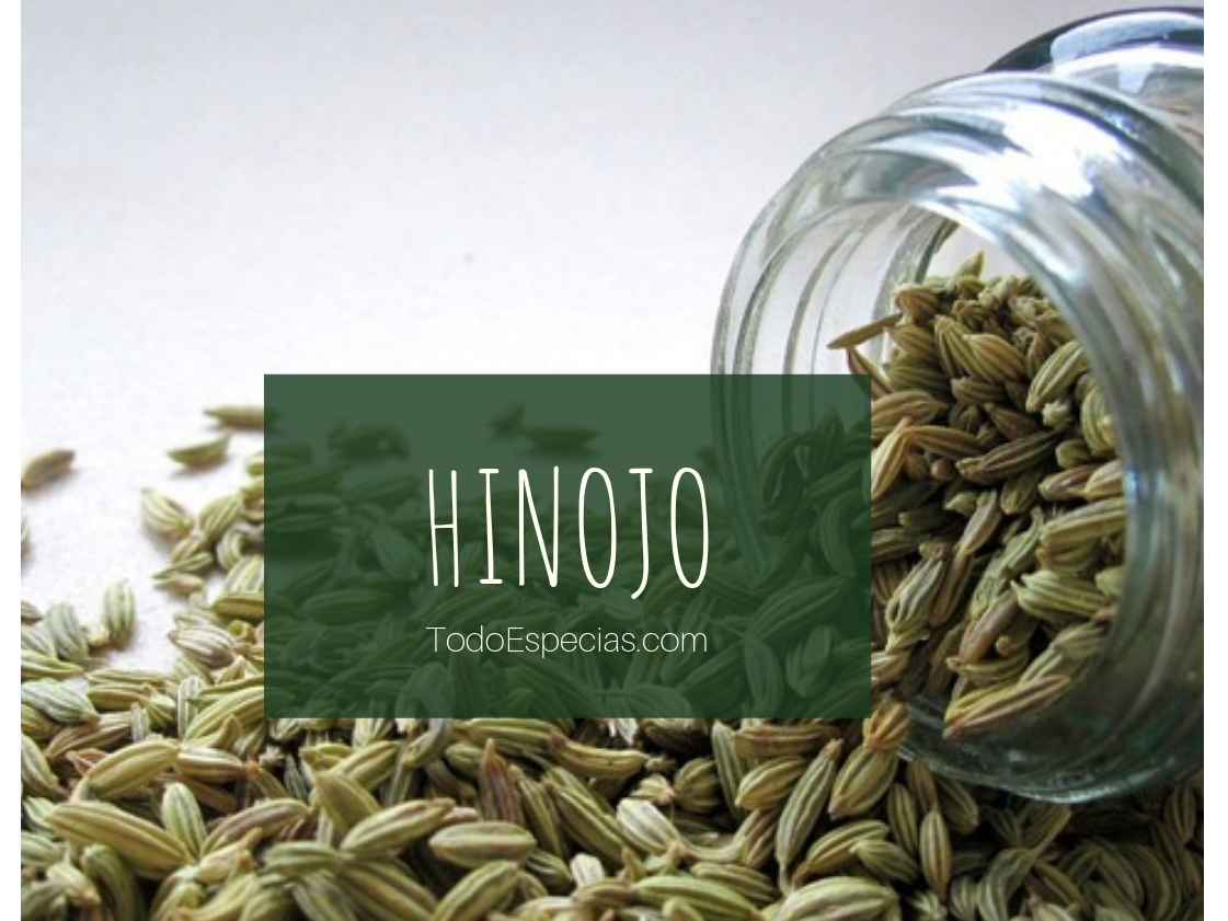 Semillas de hinojo x 100 grs
