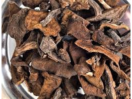 Hongos de pino x 100 grs