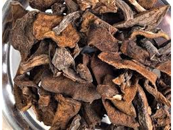 Hongos de pino x 100 grs