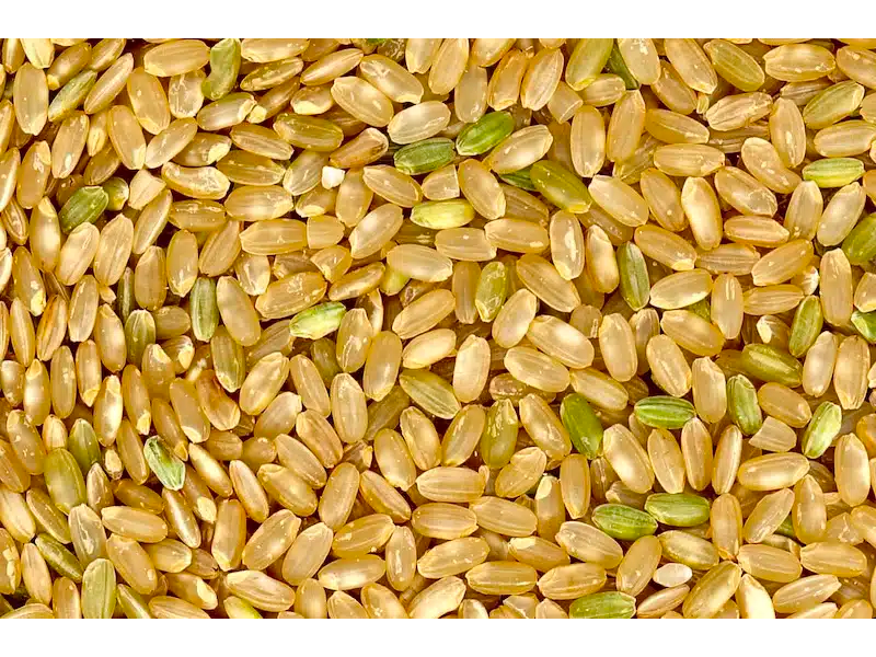 Arroz yamani x 100 grs