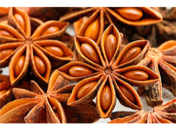 ANÍS ESTRELLADO X 10 GRS