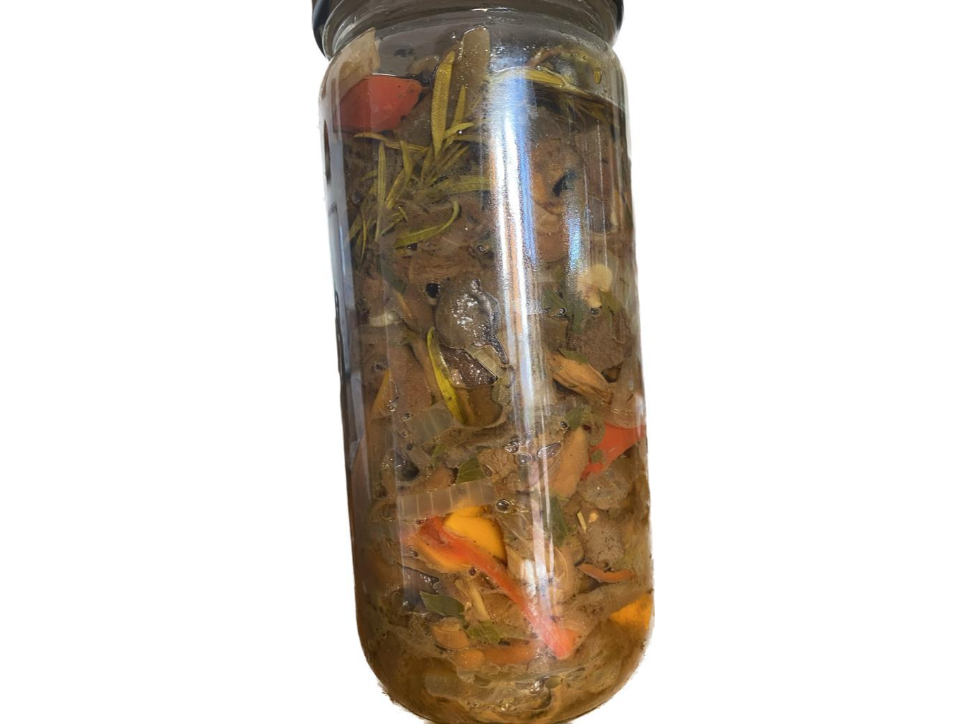 Hongos de Coco y Hongos de Pino