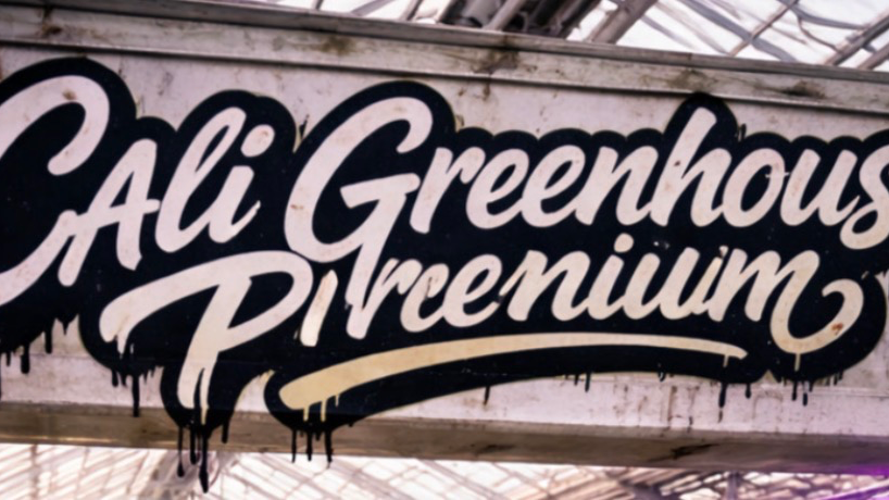 Cali Greenhouse Premium