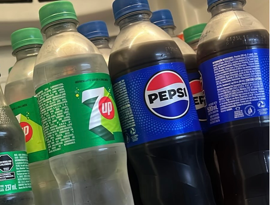 Descartable 500ml