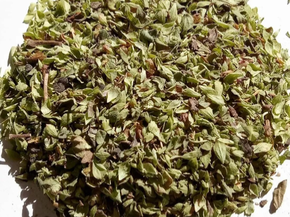 Oregano