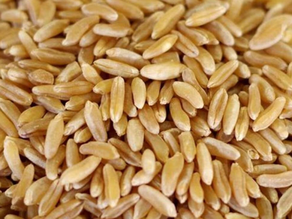 Arroz Largo Fino Integral "Blue Bonet"