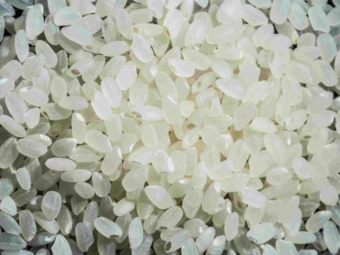 Arroz para sushi "Koshihikari"