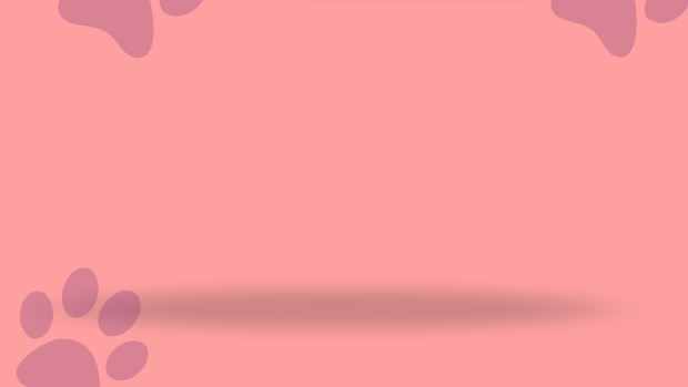 PIPETAS, COLLARES Y ANTIPARASITARIOS