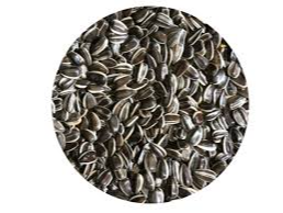 Girasol confitero 9 mm con cáscara Dicomere 3 kg