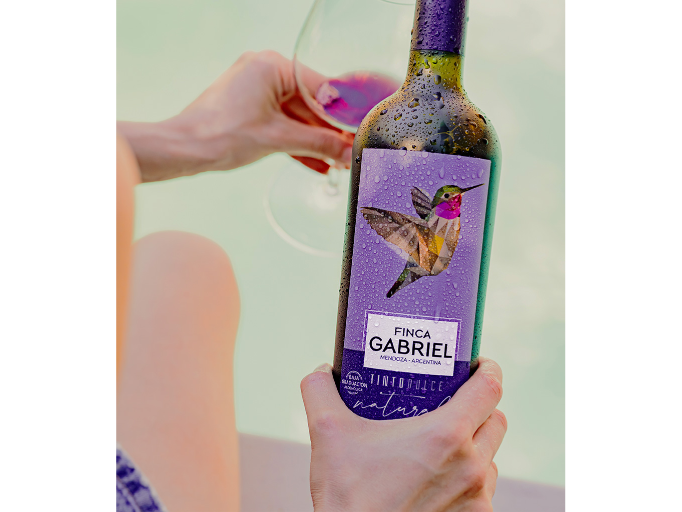 FINCA GABRIEL TINTO DULCE