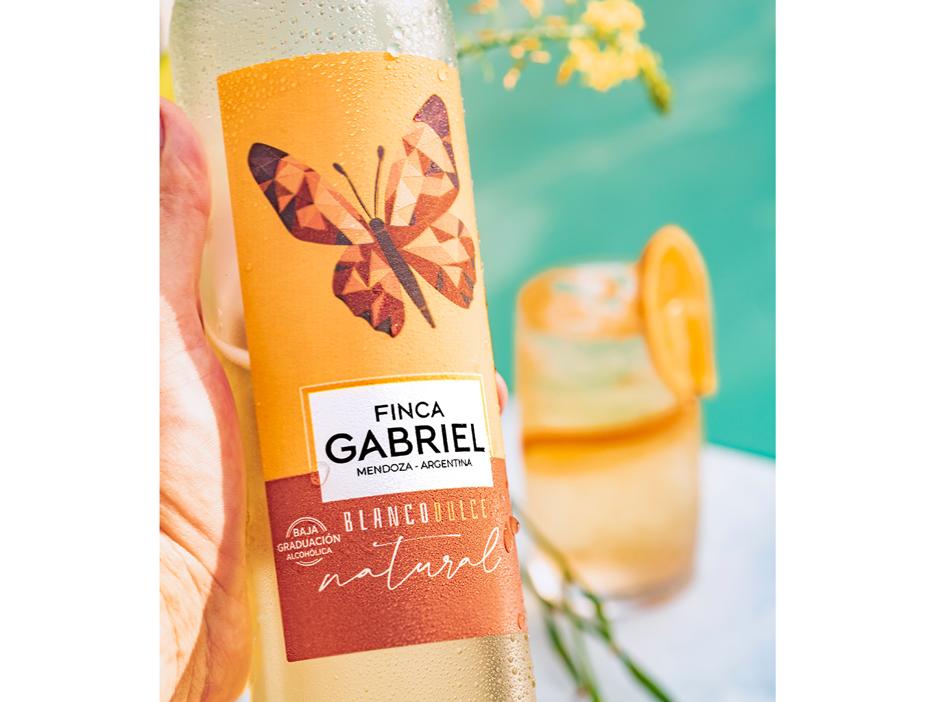 FINCA GABRIEL BLANCO DULCE