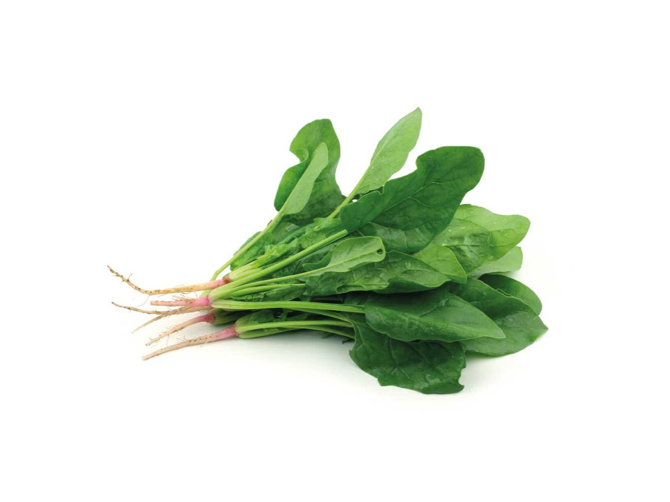 ESPINACA X ATADO