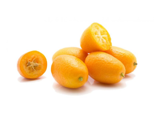 KINOTOS
