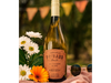 PRIVADO OASIS SUR SAUVIGNON BLANC