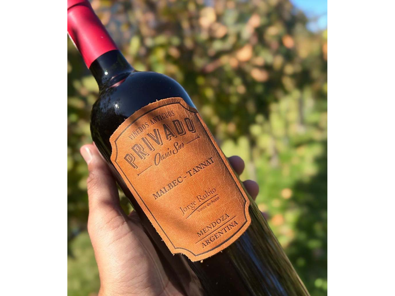 PRIVADO OASIS SUR MALBEC-TANNAT