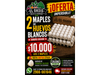 2 MAPLES X $ 10.000