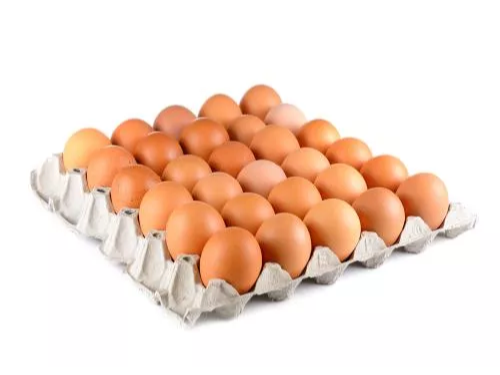 HUEVOS DE COLOR X MAPLE