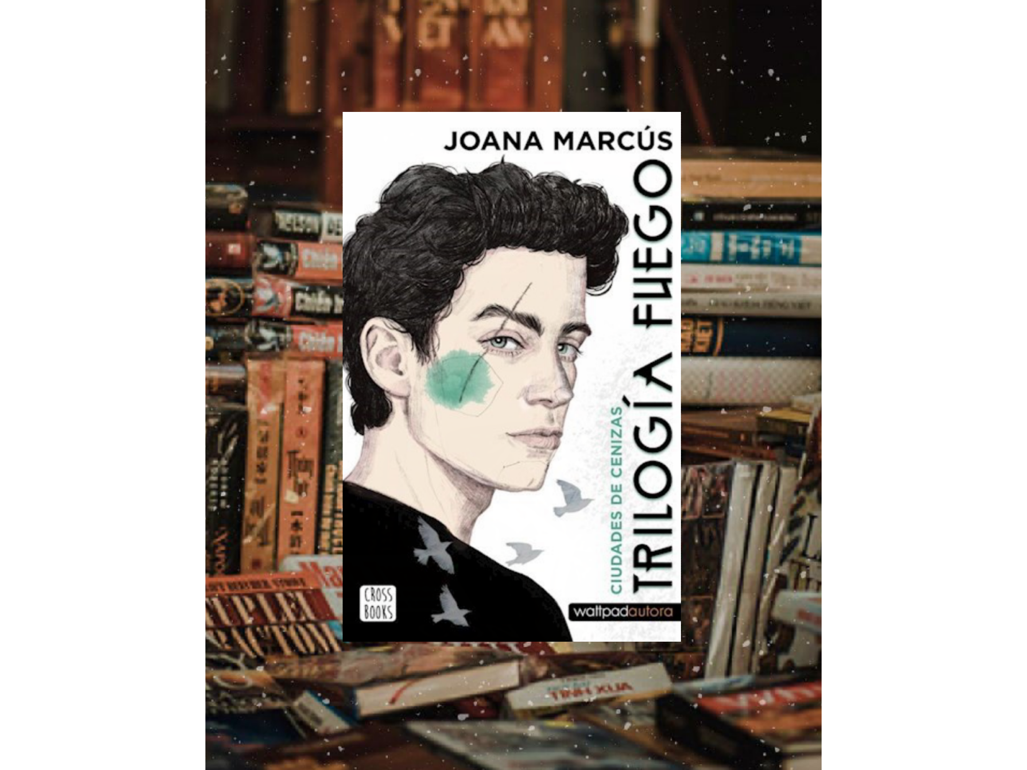 Ciudades de cenizas (Joana Marcus)