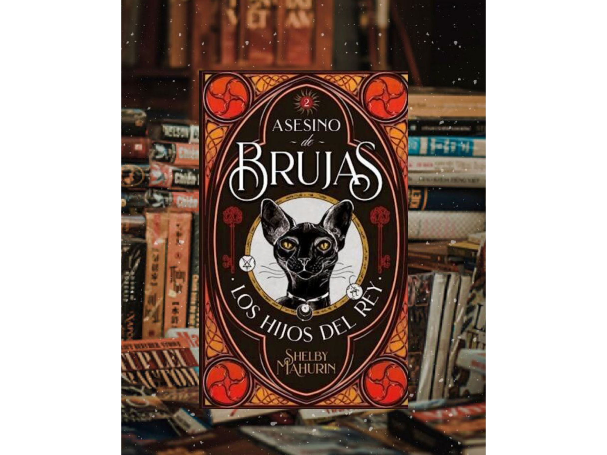 Asesino de brujas (los hijos del rey)