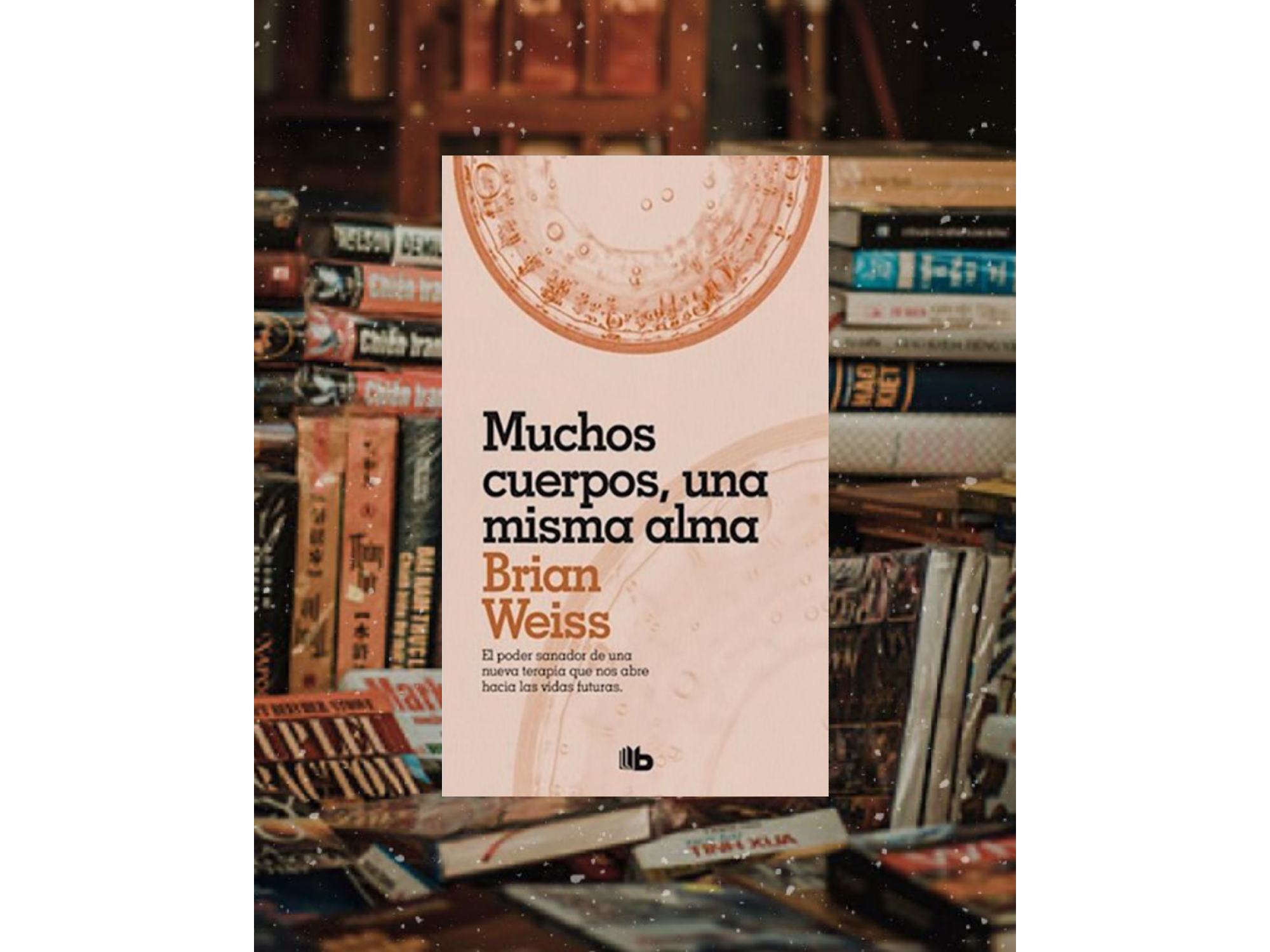 Muchos cuerpos ,una misma alma (Brian weiss)