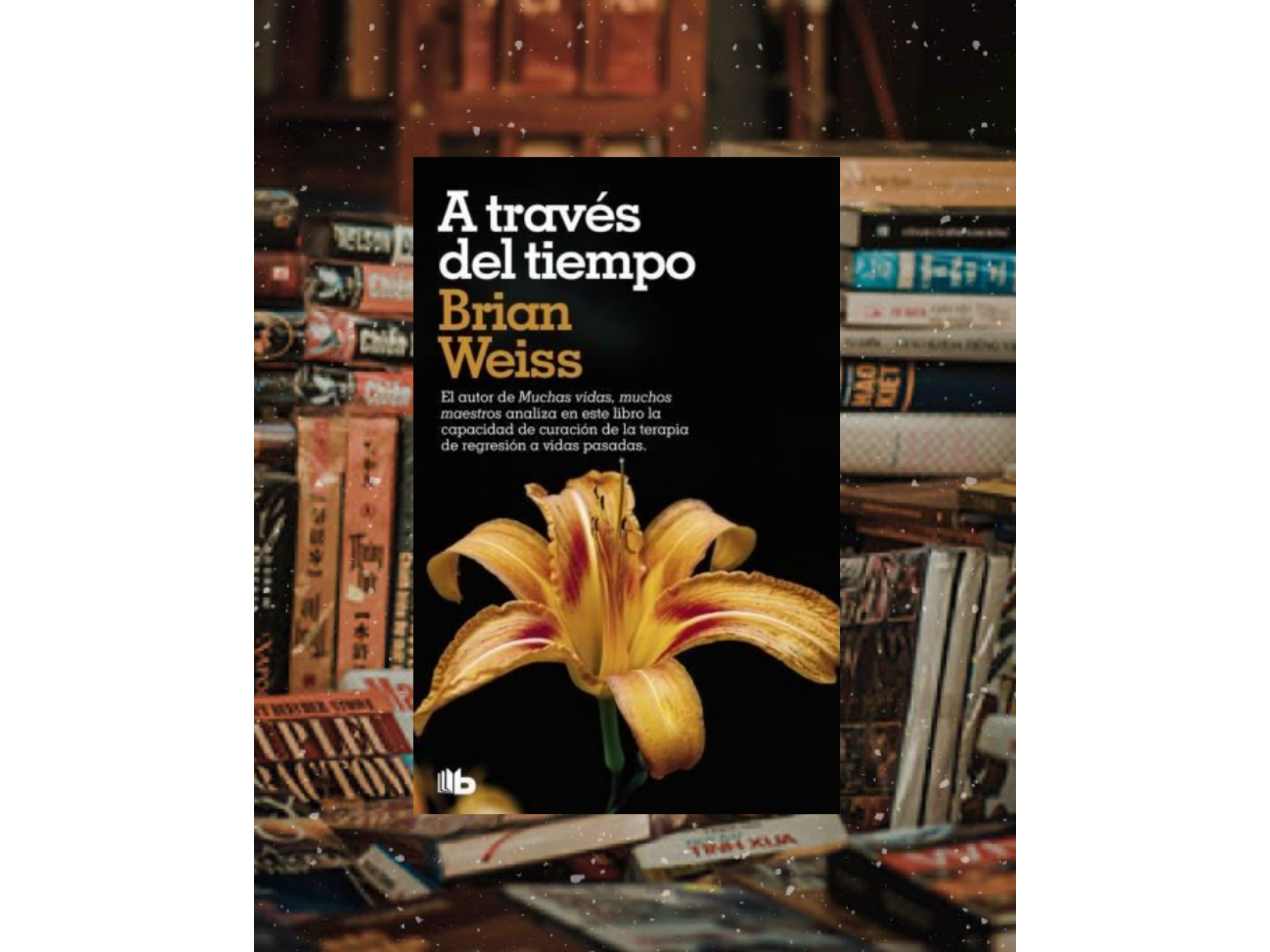 Atráves del tiempo (Brian Weiss)