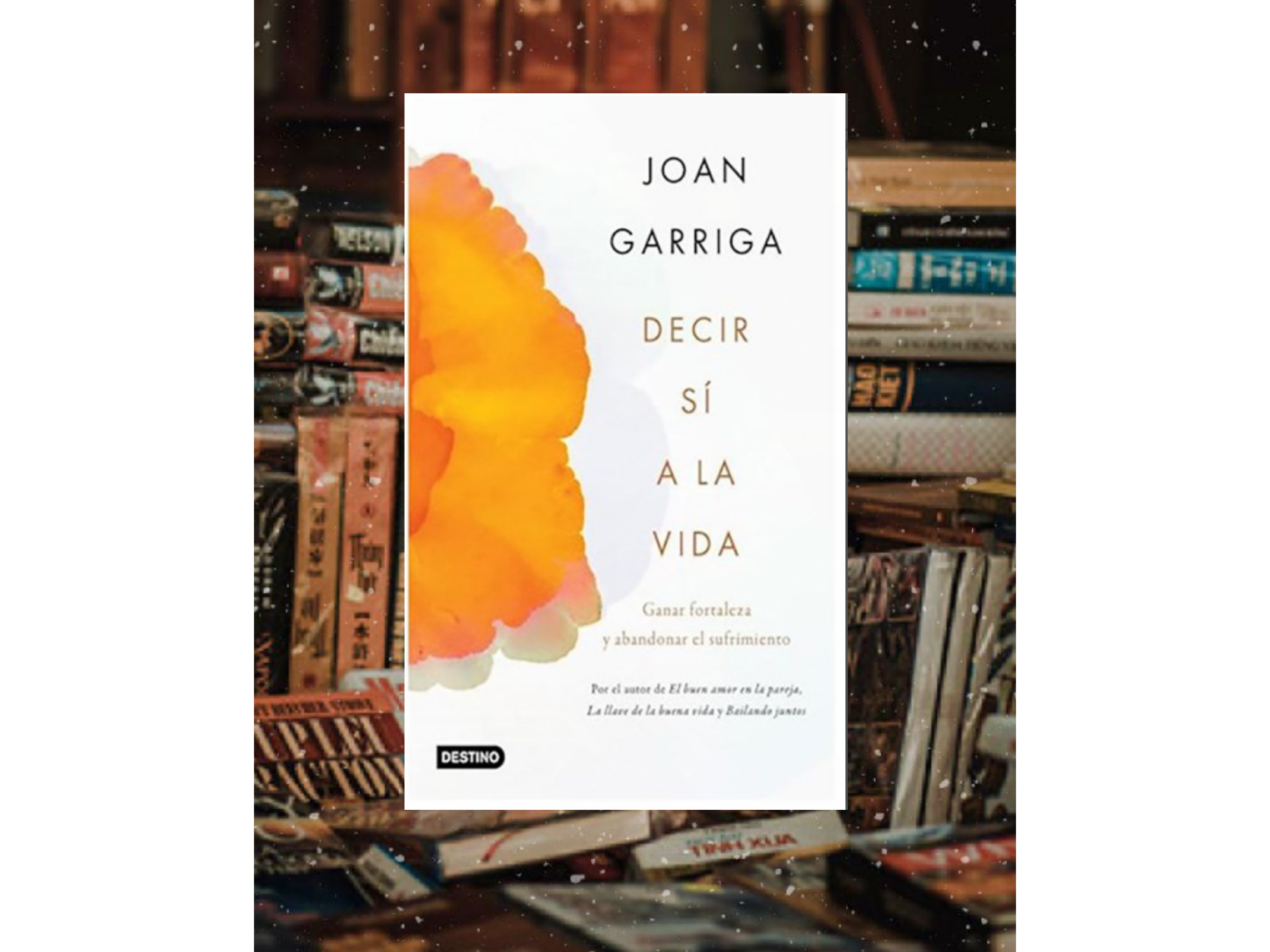 Decir si a la vida (Joan garriga)