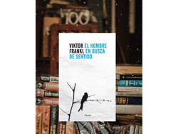 Viktor el hombre en busca del sentido