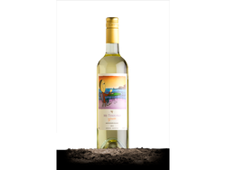EXPRESION SAUVIGNON BLANC