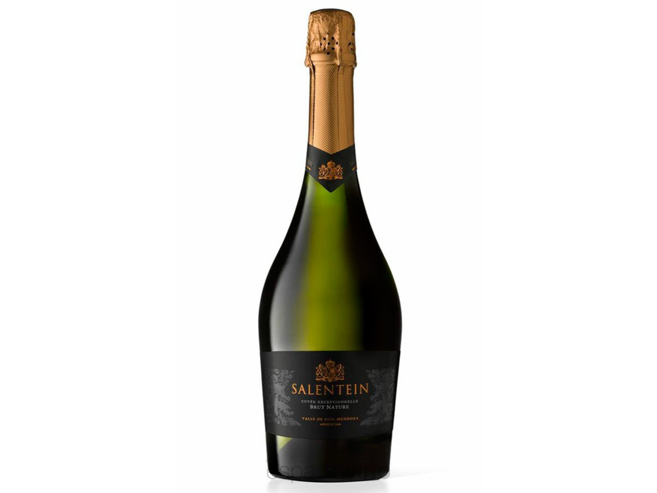 SALENTEIN BRUT NATURE X 750ML