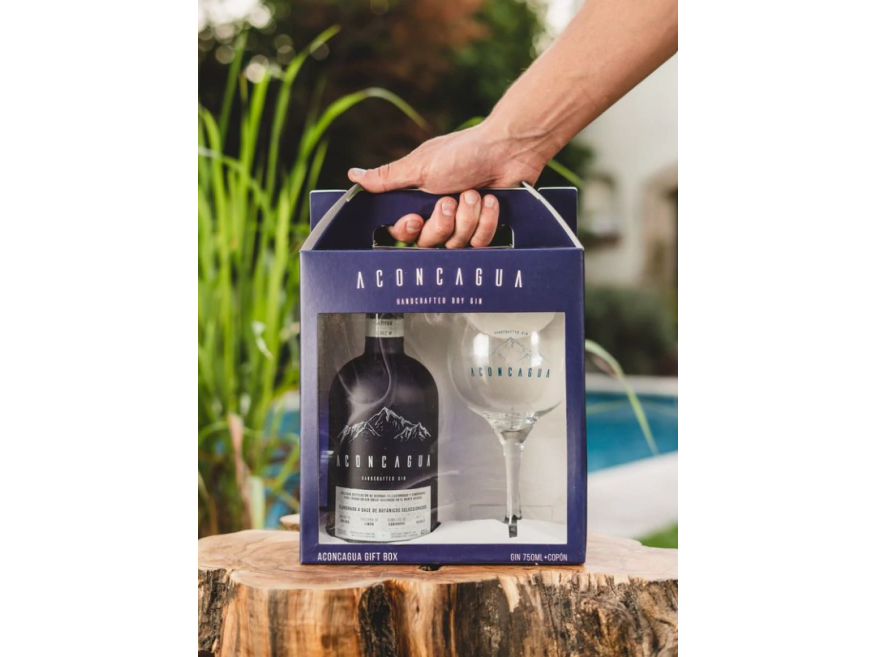 GIN ACONCAGUA CON COPON