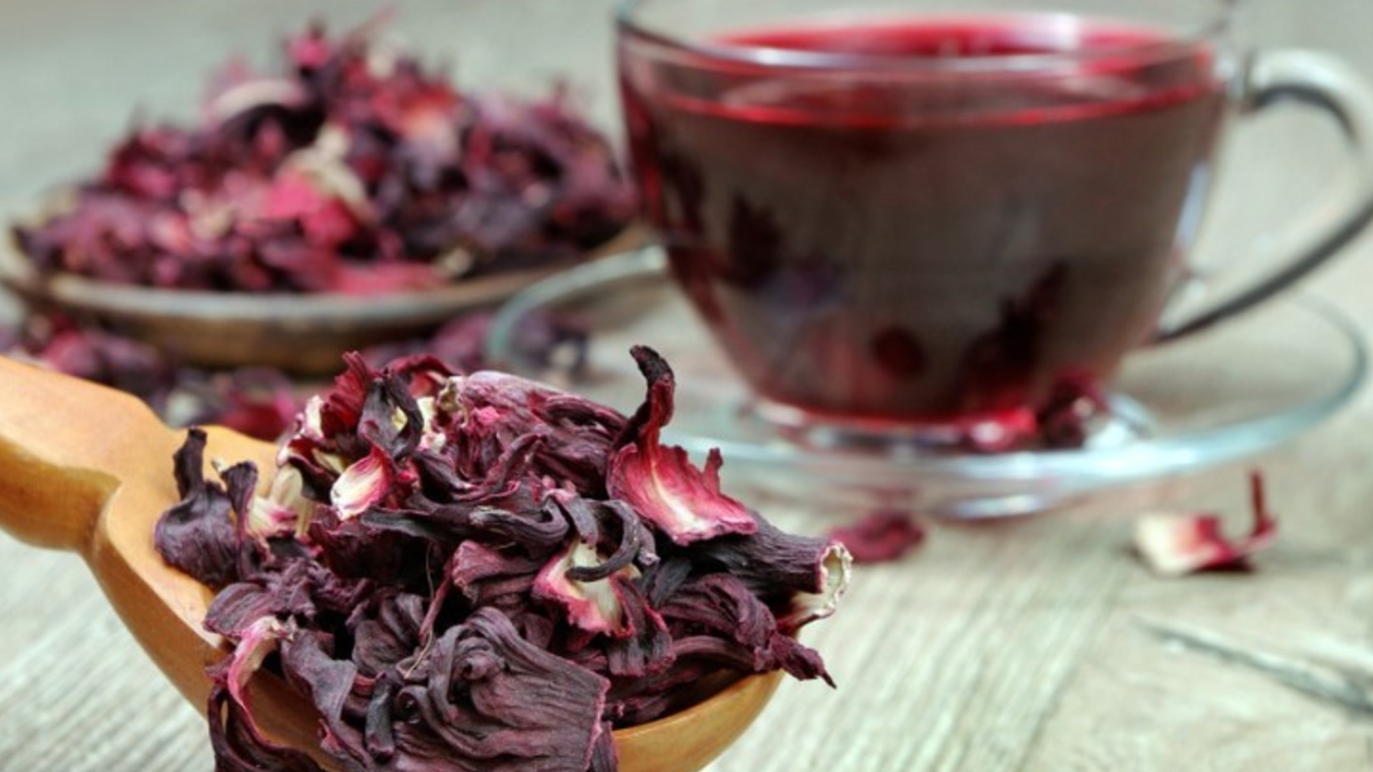 FLOR DE HIBISCUS