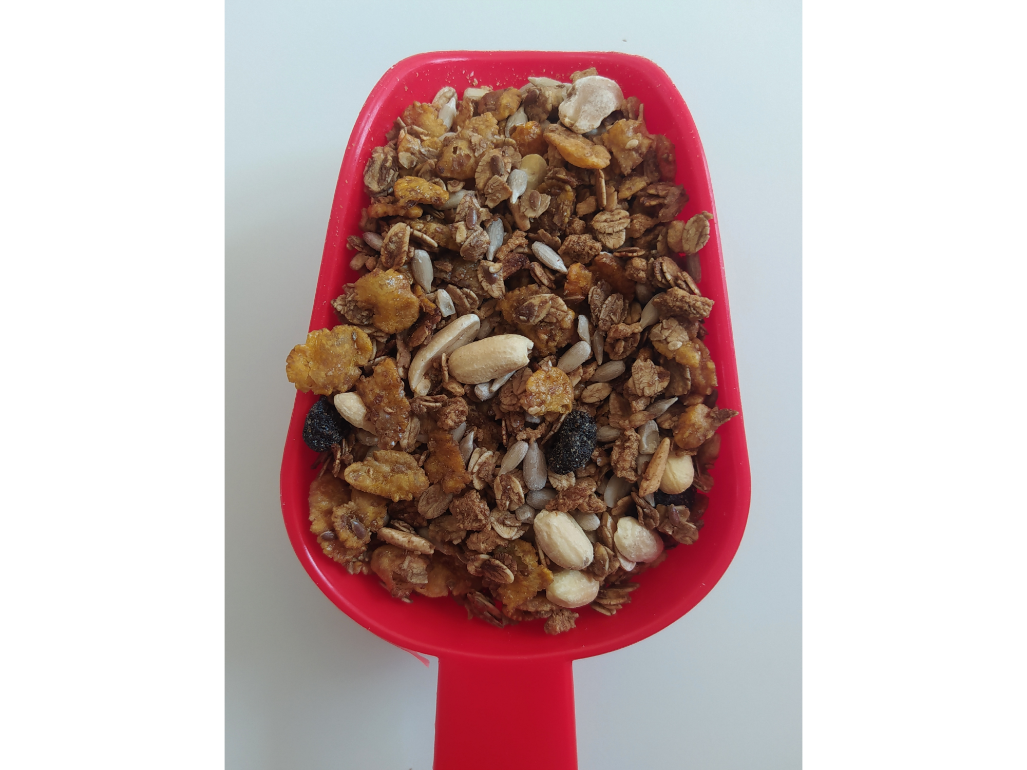 GRANOLA PROTÉICA SPORT