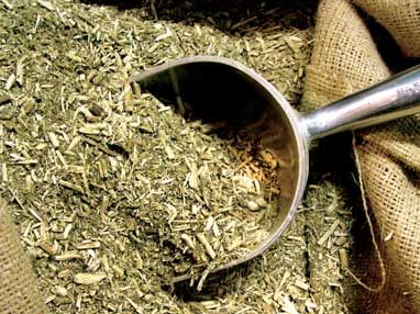 yerba con palo