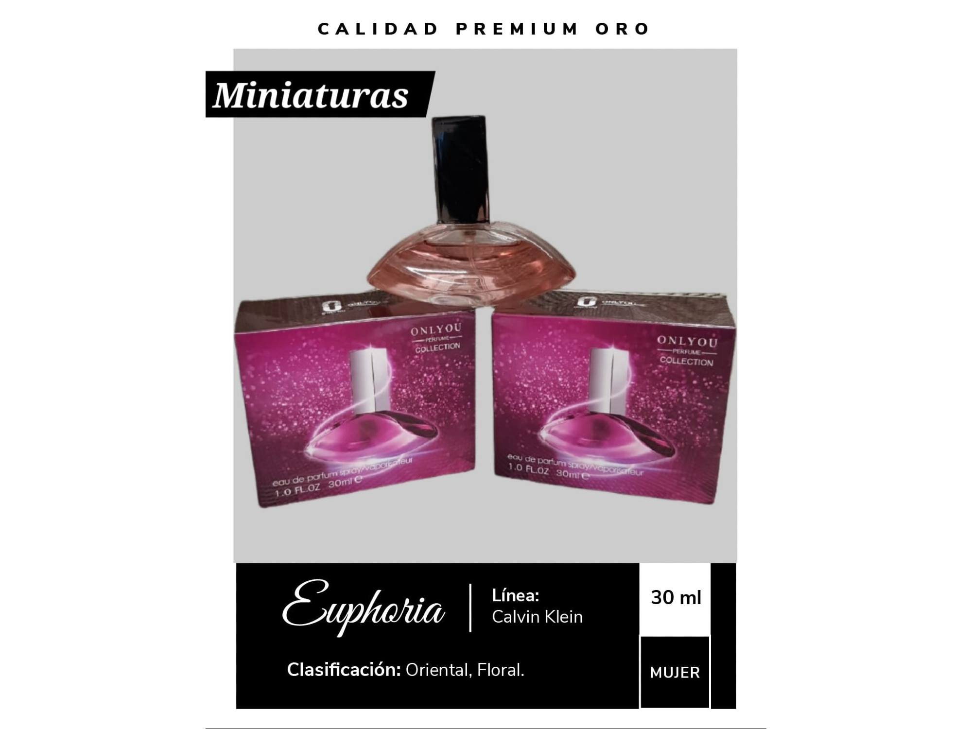 Euphorya