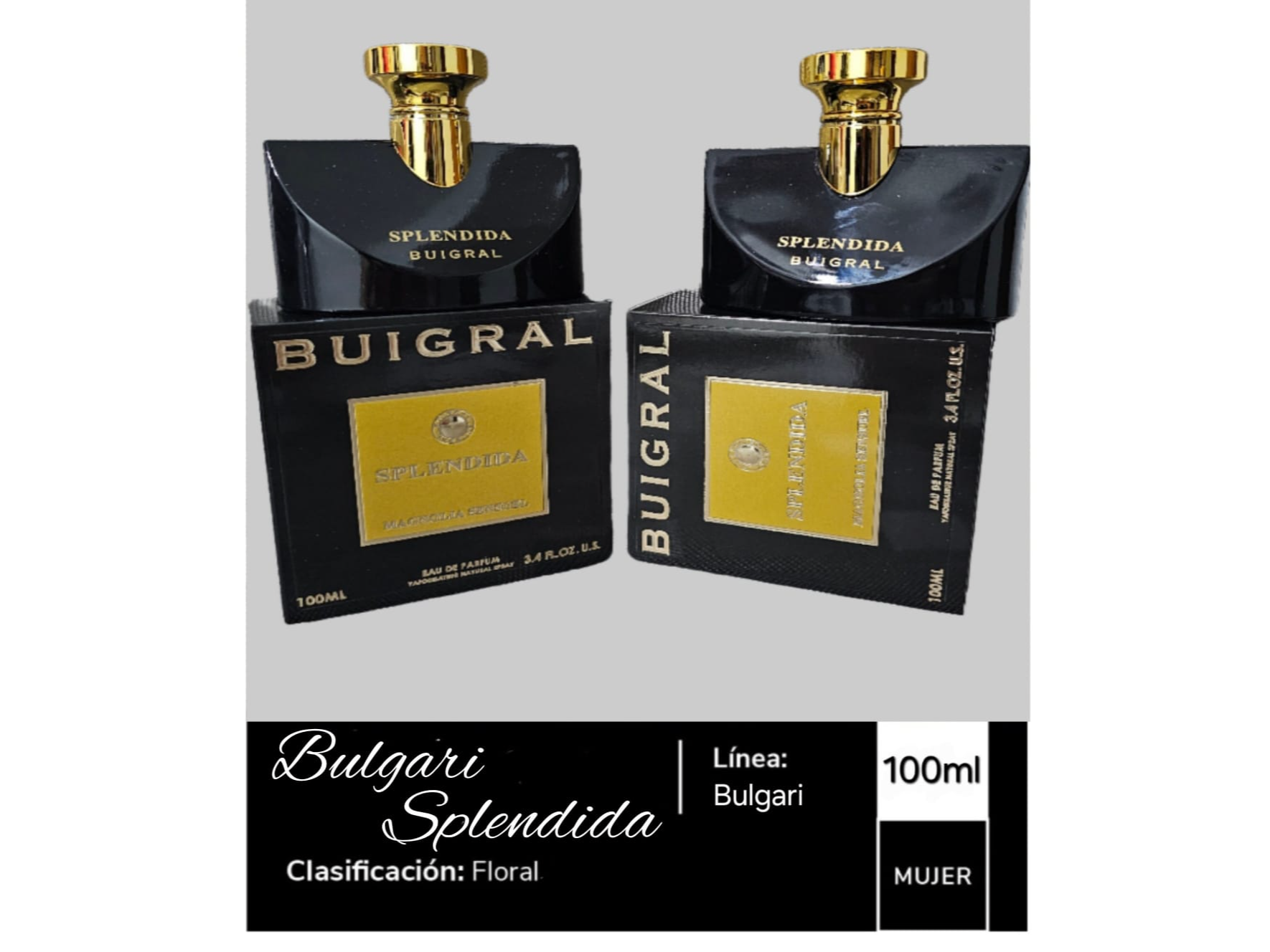 Bulgari Splendida