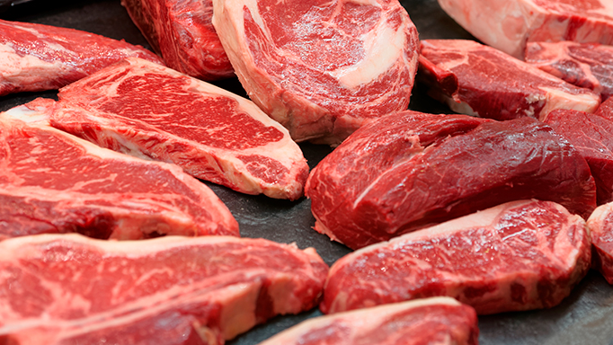 CARNES
