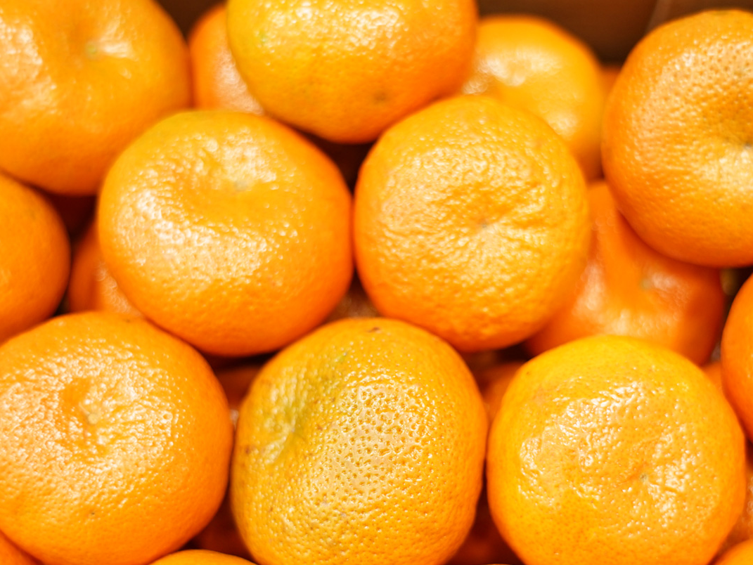 MANDARINA CRIOLLA