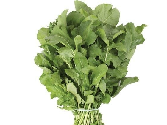 ACHICORIA