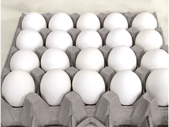 HUEVOS