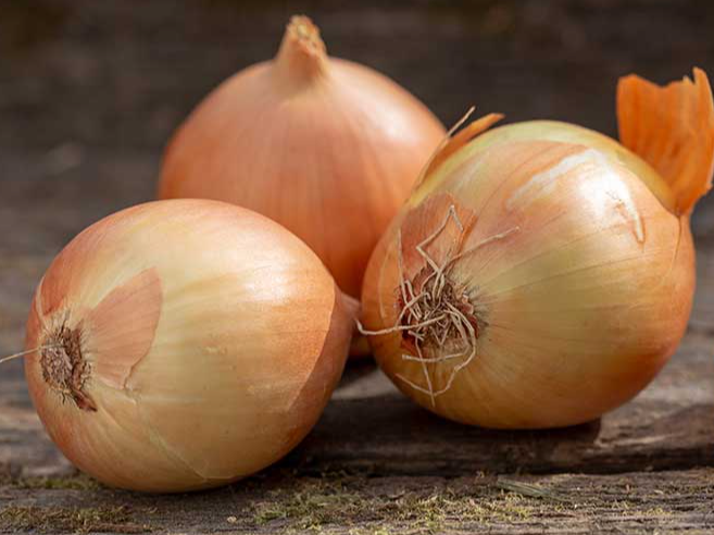 CEBOLLA