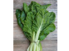 ACELGA